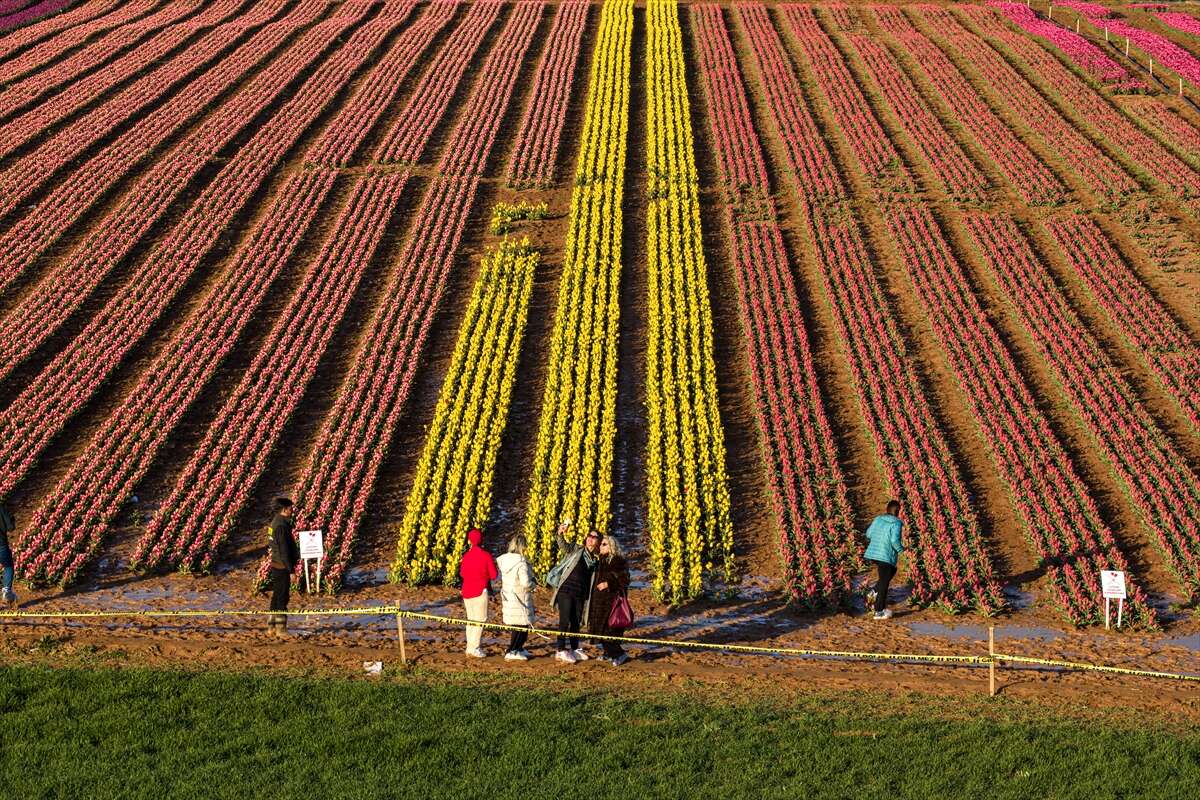 Konya’dan günübirlik kaçanlar çok! Ünlü lale cenneti ziyaretçilerini bekliyor 10